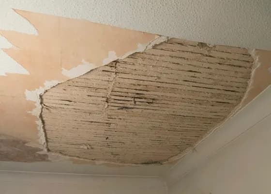 Plafond dégradé par un dégât des eaux